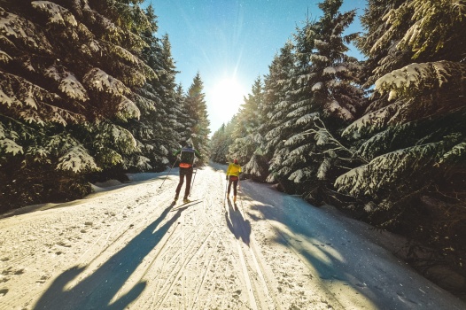 Den Artikel lesen: Von Kopf bis Fuß – Die richtige Ausrüstung für die Loipe
