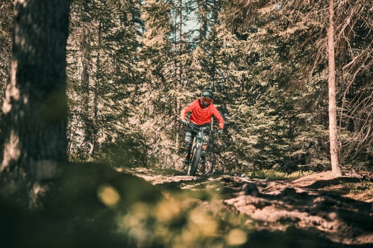 Den Artikel lesen: Season-Favorit - Mountainbiken im Herbst