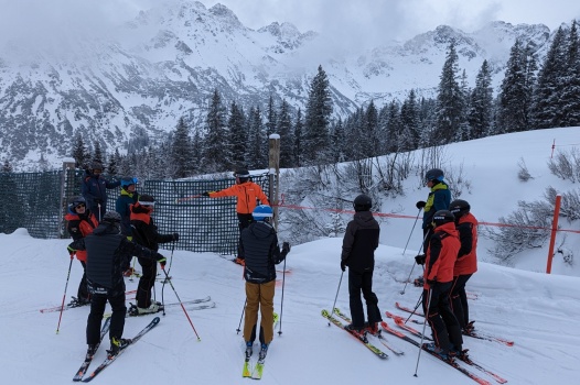 Den Artikel lesen: Gütesiegel 