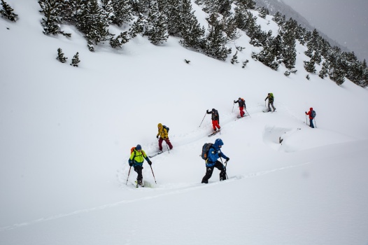 Den Artikel lesen: Freiheit im Gelände: Was beim Skitourengehen wichtig ist