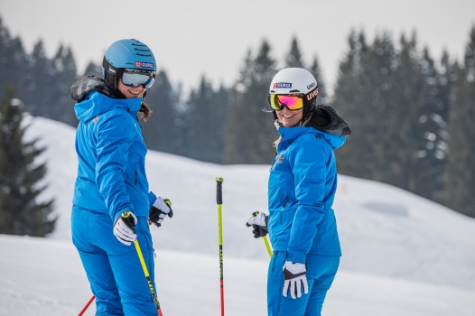 Den Artikel lesen: Materialcheck: Skistöcke